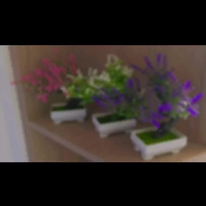 Artificial Bonsai