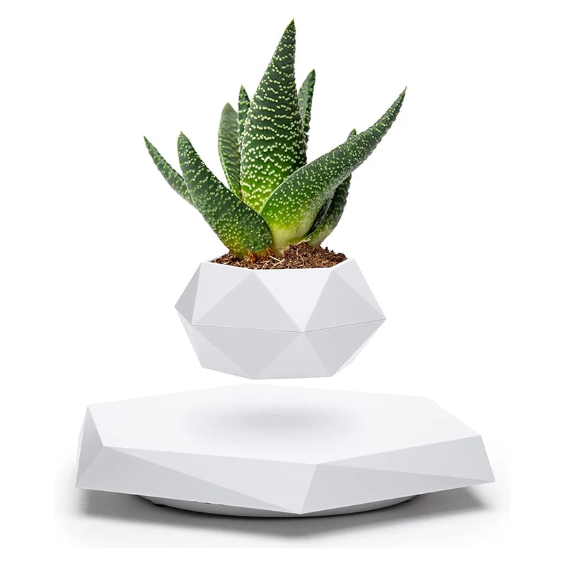 Floating Plant Pot