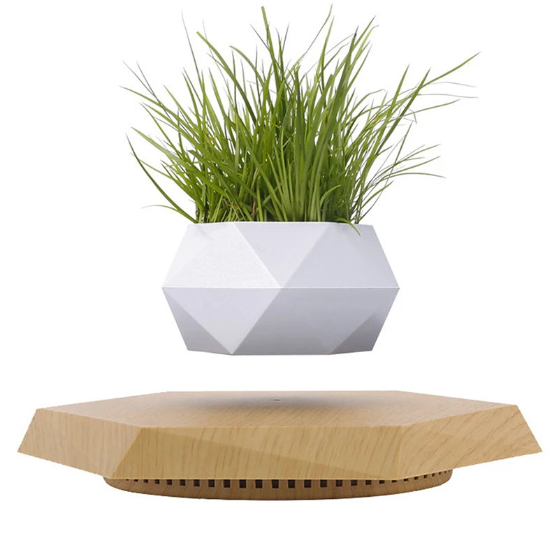 Floating Plant Pot