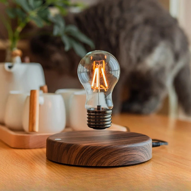 Levitating Light Bulb
