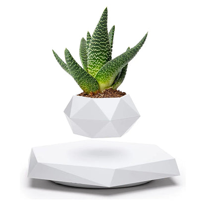 Floating Plant Pot