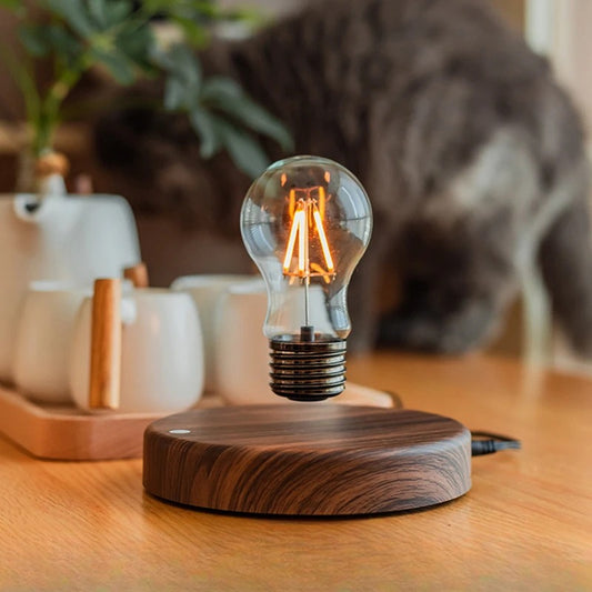 Levitating Light Bulb