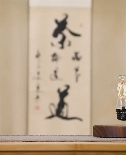 Levitating Light Bulb